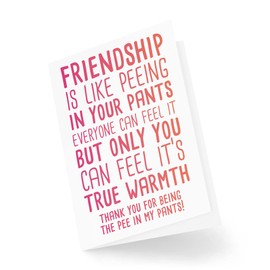 Funny Best Friend Cards, Bestie Card, Friendship Is Like Peeing in Your Pants, For Her Thank You Birthday Thank You Friends Joke CBH500