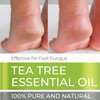 Tea Tree Essential Oil - Huge 4 FL OZ -