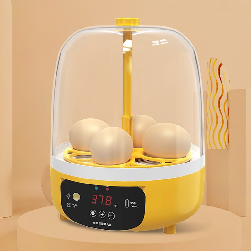 4 Eggs Incubator Temperature Humidity Control Visual Low Noise Energy
