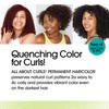 All About Curls 4RM Berry-Go-Round Permanent Hair Color (Prep +