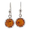 Touch Jewellery 925 Sterling Silver Round Amber Drop Earrings
