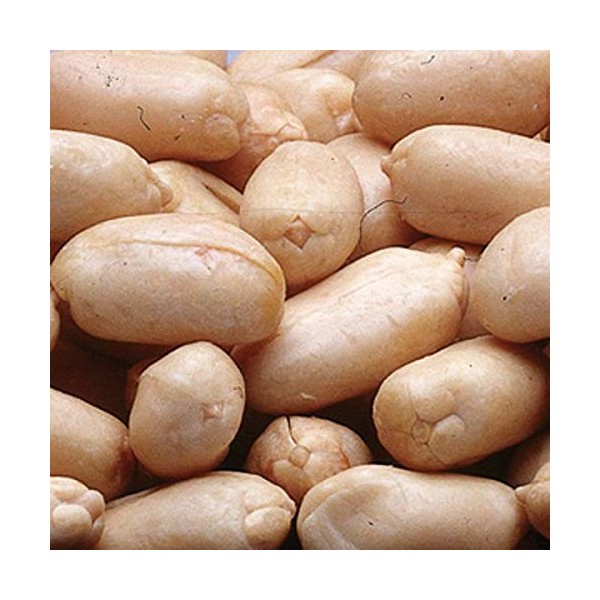 Azar Nut Raw Blanched Peanut, 12.5 Pound -- 2 per case.