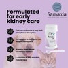 Renal+ MP Early for Dogs & Cats - Daily Kidney