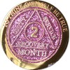 2 Month AA Medallion Reflex Pink Glitter Gold and Silver