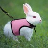 LuLiyLdJ Pink Rabbit Lead, Dwarf Rabbit Accessories, Rabbit Lead, Rabbit