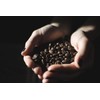 Bristot Decaffeinated Medium Roast Espresso Capsules Compatible with Nespresso Original