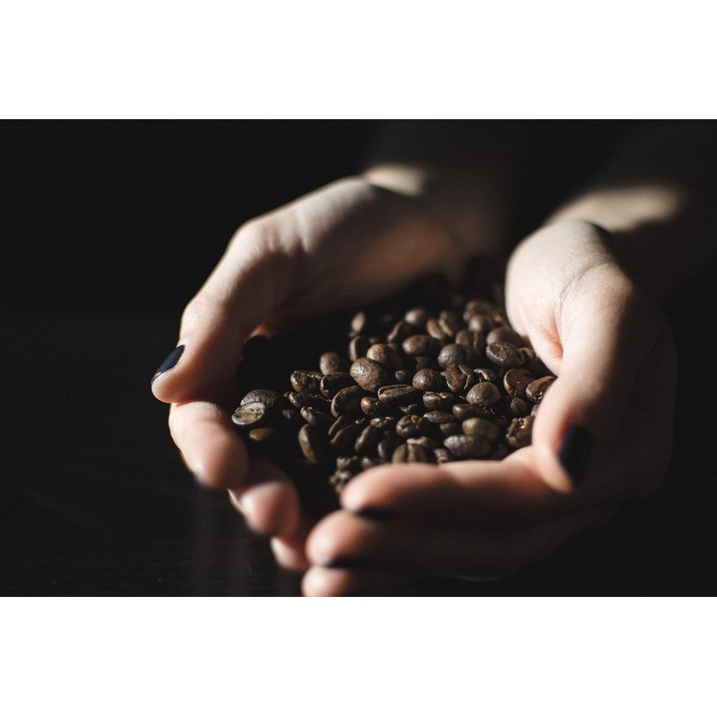 Bristot Decaffeinated Medium Roast Espresso Capsules Compatible with Nespresso Original