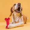 Fancy Pets Juguete en Forma de Hueso de Caucho para