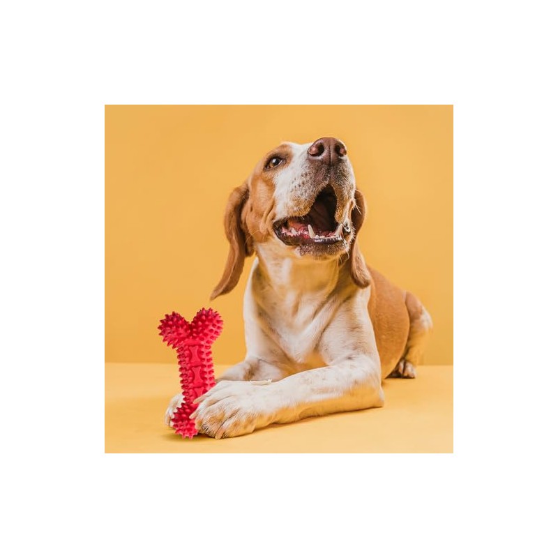 Fancy Pets Juguete en Forma de Hueso de Caucho para