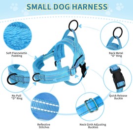 Lukovee No Pull Dog Harness and Leash Set, Soft Padded Small Dog Harness, Neck & Chest Adjustable Reflective Vest Puppy Harness with 4ft Lightweight Anti-Twist Dog Leash for Small Dogs (LBL, XXS)