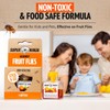 Super Ninja Fruit Fly Trap - Highly Effective Indoor Traps