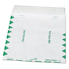 Survivor R1530 Tyvek Open-End Envelope,1st Class,9-1/2-Inch x12-1/2-Inch,100/BX,WE