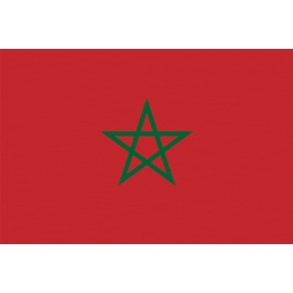 GLOBAL ADVERTISING SOLUTIONS 3x5 Country National Flag Made in USA Bright Colors Long Lasting and Weather Resistance Country State Flag only Without Pole kit and Mount (Morocco)