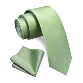 GUSLESON Skinny Sage Green Tie for Wedding Solid Formal 2.4" Slim Necktie and Handkerchief Set For Men (0754-43)