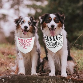 Heclia Big Sister Dog Bandana for Pets 2 PCS Pink Scarf Accessories for Dog Lovers & Owners Big Sister Celebration Soft Puppy Bandana Promoted to Pets Gift Spring Handkerchiefs