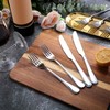 Nuenen 100 Pieces Stainless Steel forks and knives Dinner Flatware