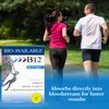 Wellgenix Bio Available Daily Multivitamins (60 ct) - Focus Support
