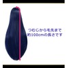 CaseEden 6161 Premium Cosplay Wig, Smooth, Long Hair, 39.4 inches