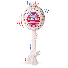 Blow Pop Plush & Rope Dog Toy – Scented Squeaky Plush with Durable Rope Stick – Tug, Fetch & Chew Toy for Dogs – Available in Jumbo & Medium Sizes – Apple, Cherry, Grape & Watermelon