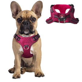 Dog Harness Step in Dog Vest Harness, Reflective Adjustable Puppy No Pull Harness Breathable Soft for Small and Medium Dogs Cats, Pink/Black, S