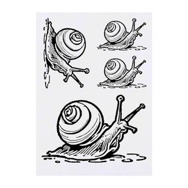 Azeeda 4 x 'Riesige afrikanische Schnecke' Temporäre Tattoos - Wasserfest, Hautfreundlich & Ungiftig · Transfers in Verschiedenen Größen (TO00071388)