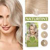 Naturtint Permanent Hair Color 10A Light Ash Blonde (Pack of