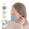 Meditrust B& 3D Color Mask, Individually Wrapped Gray, Pack of