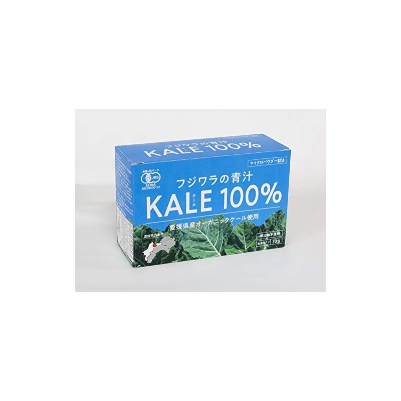 Fujiwara Soup, Powder Type, 0.1 oz (3 g) x 30