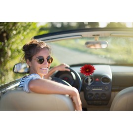 SANDINI Acrylic Car Vase with silk flower/cult flower in Fits every car