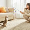 Kitten Starter Kit - 16 Pcs Cat Essentials Set Includes
