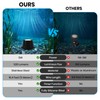 Plug in Fountain Light LED Underwater with Timer Transformer