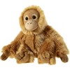 HEUNEC Classic 238978 Plush Toy
