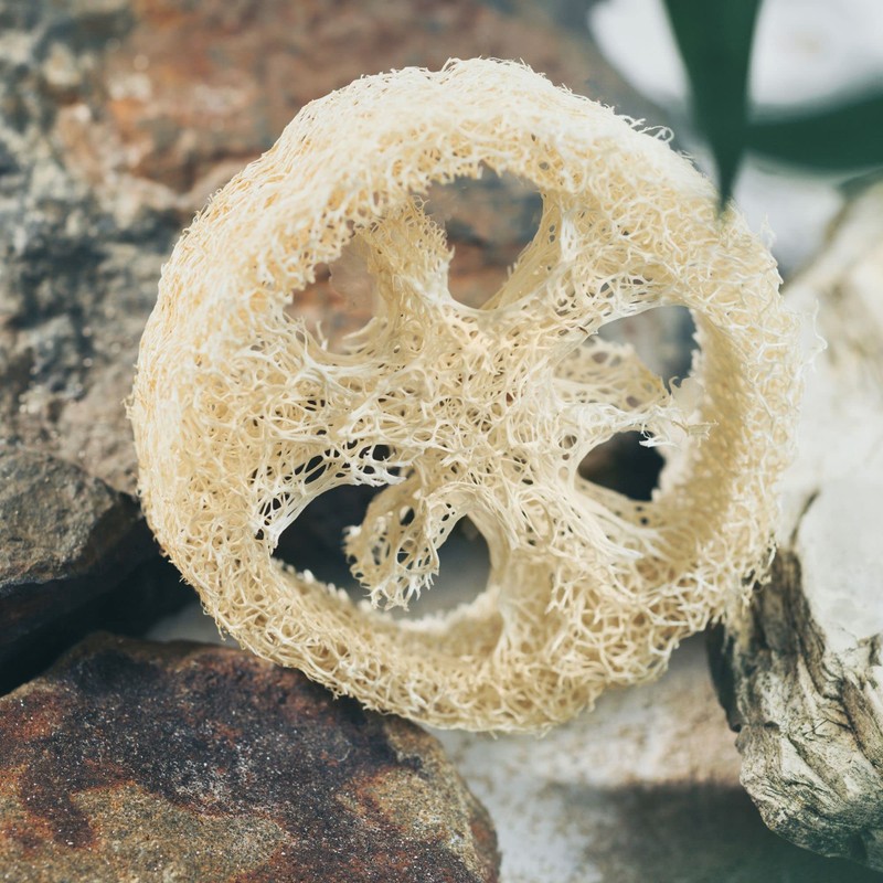 Duschkind Solid Shampoo Solid Shower Gel Natural Cosmetics Coconut 4-in-1