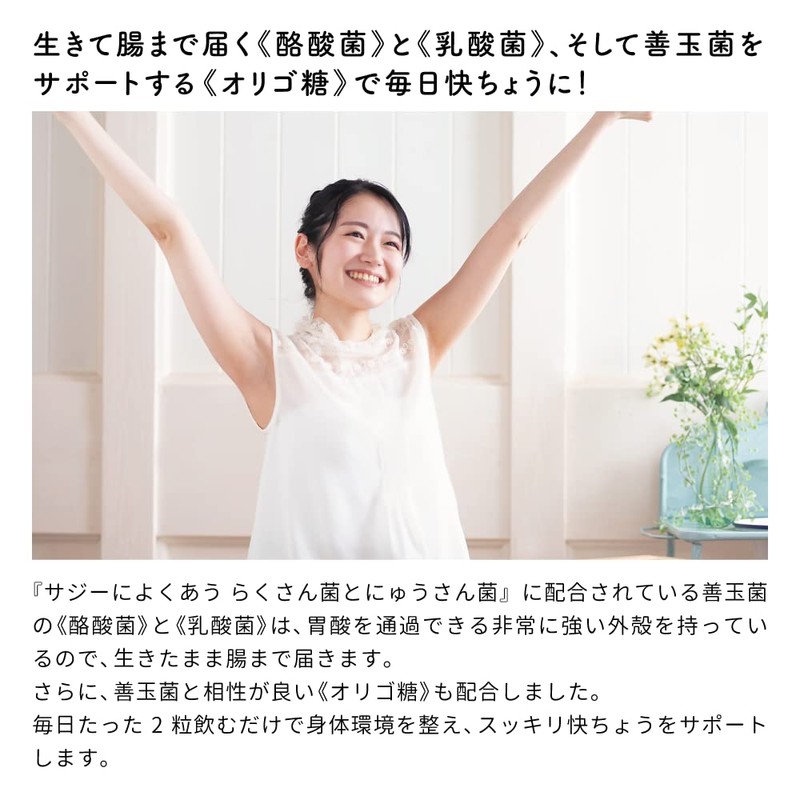 サジーによくあう らくさん菌とにゅうさん菌 フィネス サプリメント 酪酸菌 乳酸菌 オリゴ糖 60粒 約30日分