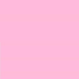 Pack of 2 Lee No. 153 Pale Salmon - 24 x 24 cm Transparent Heat Resistant Coloured Film for Photo Studio PAR 64 Headlight - Gel Colour Filter Film (Pack of 2, Lee 153 Pale Salmon)