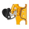 Petzl B16BAA CROLL Chest Ascender