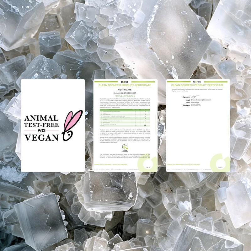 SOULT Eternal Clay Body Mask I Dead Sea Mud I