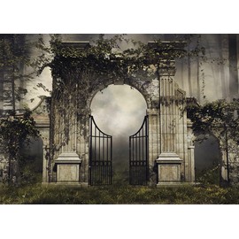 Loccor Gothic Backdrop Fabric 12x8ft Vintage Stone Garden Gates Backdrops Ivy Arch Dark Forest Photography Background Birthday Party Decorations Outdoor Wedding Banner Portrait Photo Booth Props