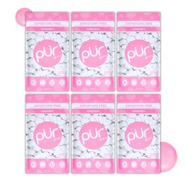 PUR Gum | Aspartame Free Chewing Gum | 100% Xylitol | Natural Bubblegum Flavored Gum, 55 Pieces (Pack of 6)