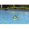 Poolmaster Swimming Pool Chlorine Dispenser, Turtle