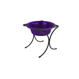 Platinum Pets 1 Cup Bistro Single Raised Feeder with Stainless Steel Wide Rimmed Bowl, Electric Purple