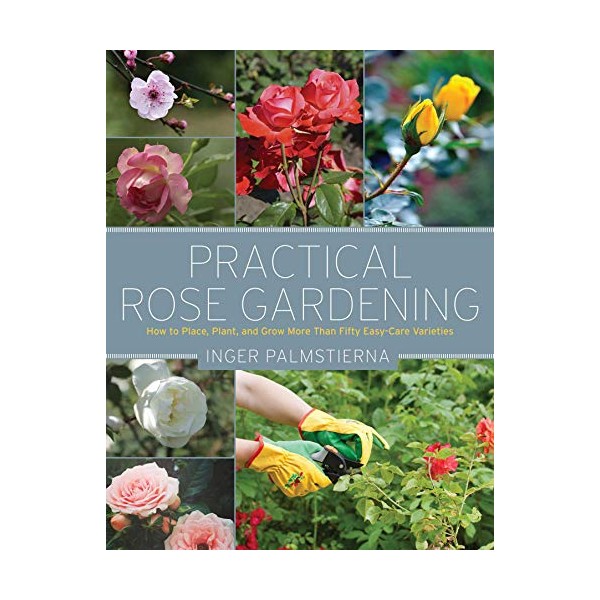 Practical Rose Gardening: How to Place, Plant, and Grow More
