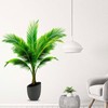 Amimagen Coconut Palm Potted Plants Wall Stickers - Tropical Plants