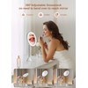 Brightown 10x Magnifying Mirror with Light, Flexible Gooseneck Make up