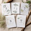 Baby Monthly Cards Green Age Cards