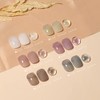Coikaze Gel Color Gel Nail Art Shear Color Gel UV
