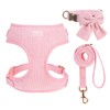 PUPTECK Dog Harness Collar and Leash Set, Adjustable No Pull