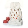 Yankee Candle Owl Luminary Tea Light Gift Set