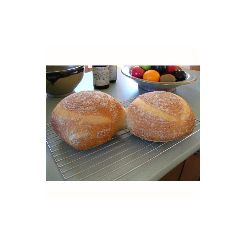 South Africa Whole Wheat Sourdough Culture