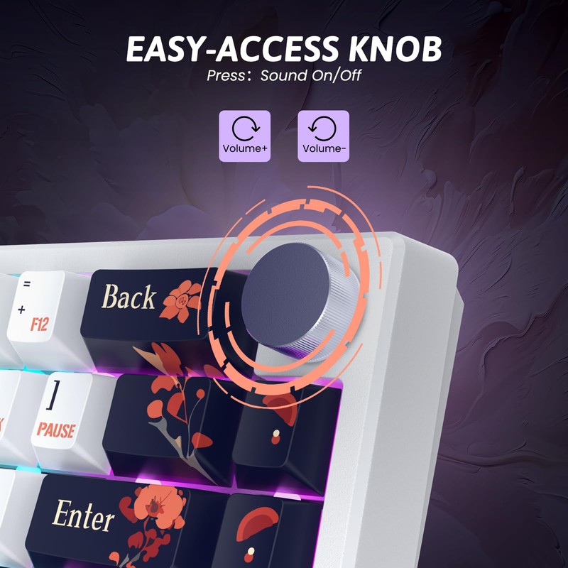 RisoPhy PC425 Wireless Gaming Keyboard, Gasket Mount, RGB Backlight, Volume